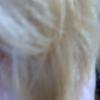 Im000364_thumb