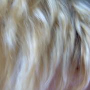 Im000366_card