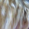 Im000366_thumb