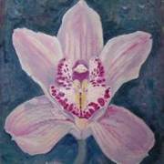 Orchidea_card