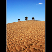 Desert_card