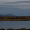 Riograndebirds_thumb