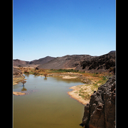 Mount_card