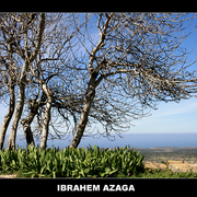 Sumer_card