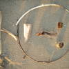 Abstract2_thumb