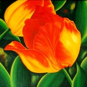 Tulpen_card