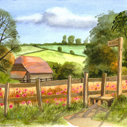 Poppy-field_web_card