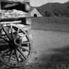 Wagonwheel_az_thumb