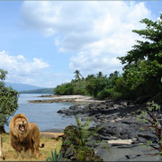 957a-jungle_beach_king_card