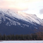 C_rockies_card