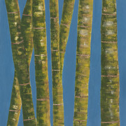 Bamboo_card