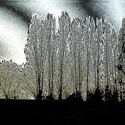 Brina_3_card