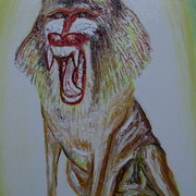 Imaga237_card