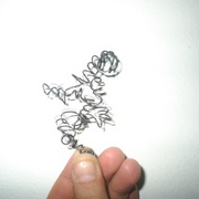Picture3_281576_card