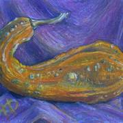 Zucca_card