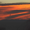 Silohouttereddawn_thumb