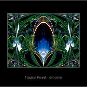 734596-1-tropical-forest_card