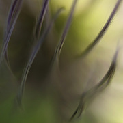 Grasping2_card