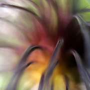 Grasping1_card