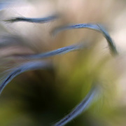 Grasping_2_card