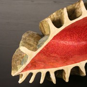 Img_1372_card