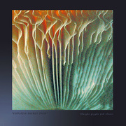 Explosion__mushroom__card