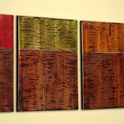 Amazon_panels_card