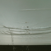 Señor_de_la_lluvia_small_thumb