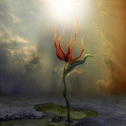 Alone_by_houk_card