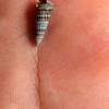 La_ligne_de_chance1_thumb