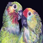Birds_prism_l_copy_card