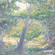 Img_1719_card