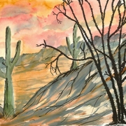 Arizona_evening_poster_small_card