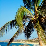 Breezy_day_on_the_beach-1_card