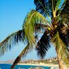 Breezy_day_on_the_beach-1_thumb