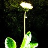765_thumb