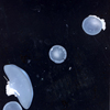 Para_art_1_small_thumb