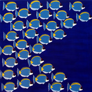 Blue-shoal_card