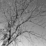 Img_0117blackandwhite_card