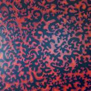 Reddz_4_web_card