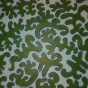 Alge_joy_detail_4_web_card