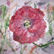 Poppy_burst_email_card