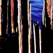 Les-pieds-dans-l_eau-10_card