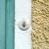 Door_bell_-_sara_bubna_-_klein_thumb