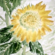 Lone_sunflower_small_card