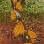 Cocoa-plantation_card