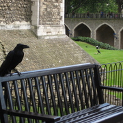 Img_0235_card