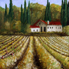 Tuscan_vineyard_thumb