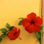 P1110148_card