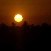 Photo-143_card